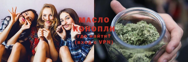 ешки Бородино