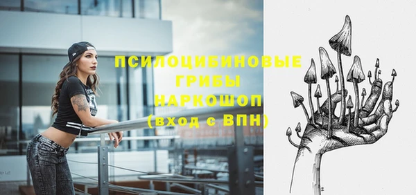 ешки Бородино