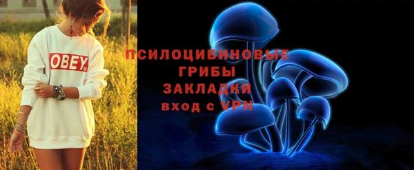 ешки Бородино