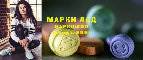 ешки Бородино