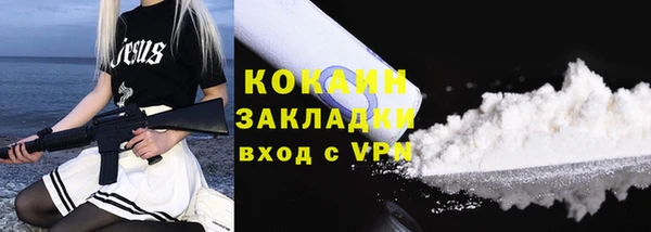 ешки Бородино