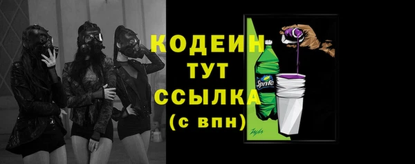 ешки Бородино