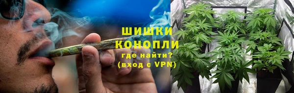 ешки Бородино